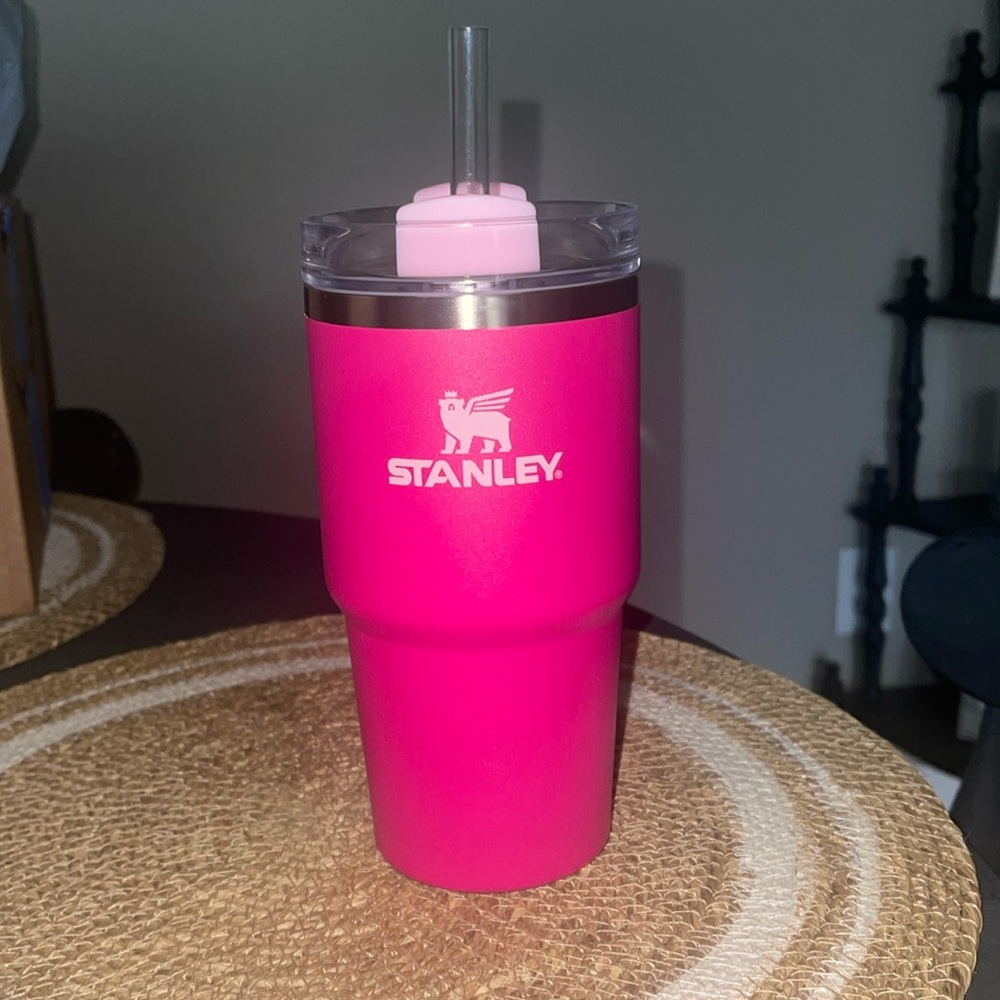 NWOT Stanley 20oz Tumbler